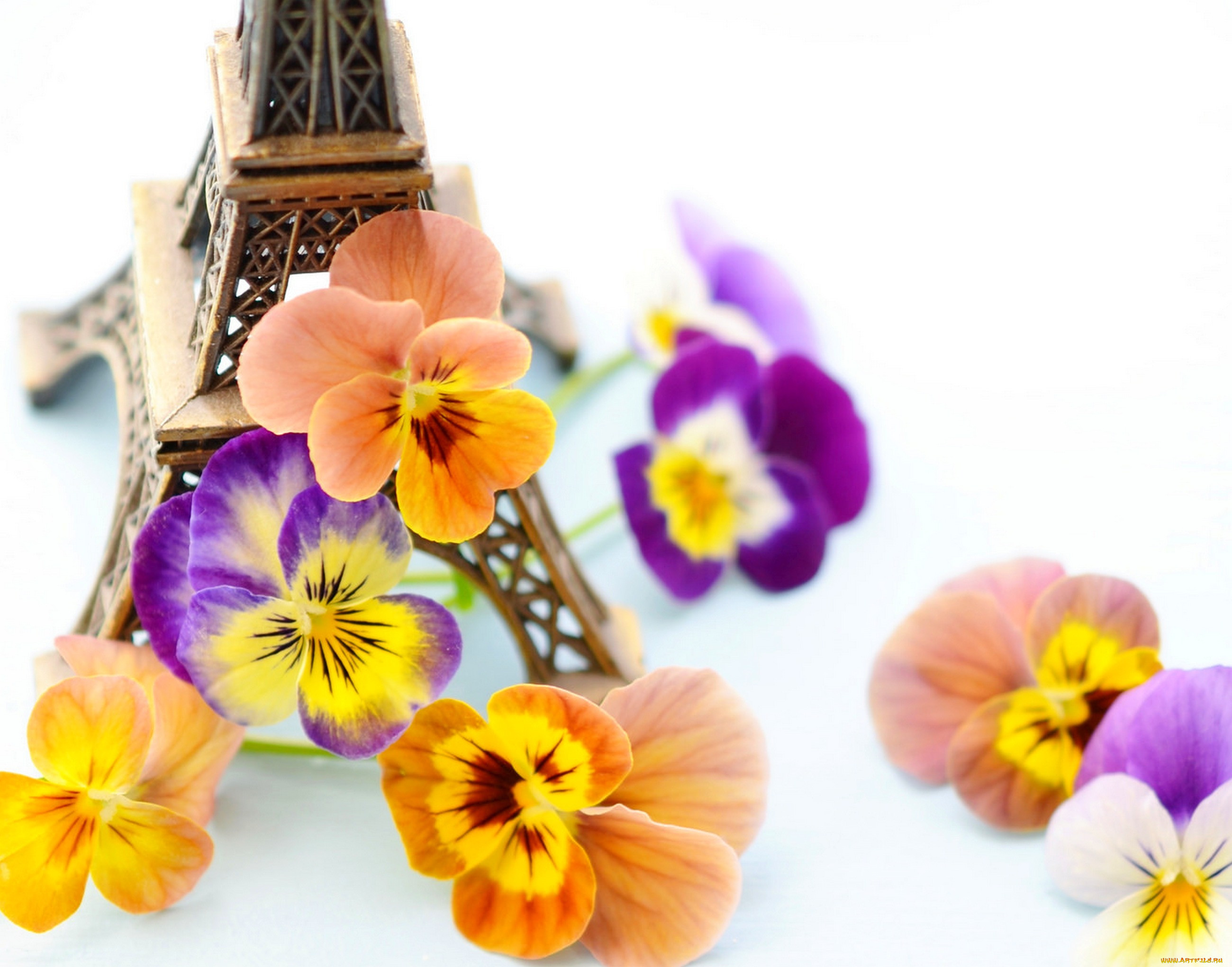 ,   ,  , , , eiffel, tower, paris, france, statuette, violets, , , , , flowers